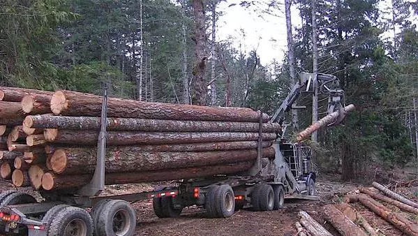 创秋木业资讯:1.63亿美元!加拿大木材巨头收购美国木材工厂